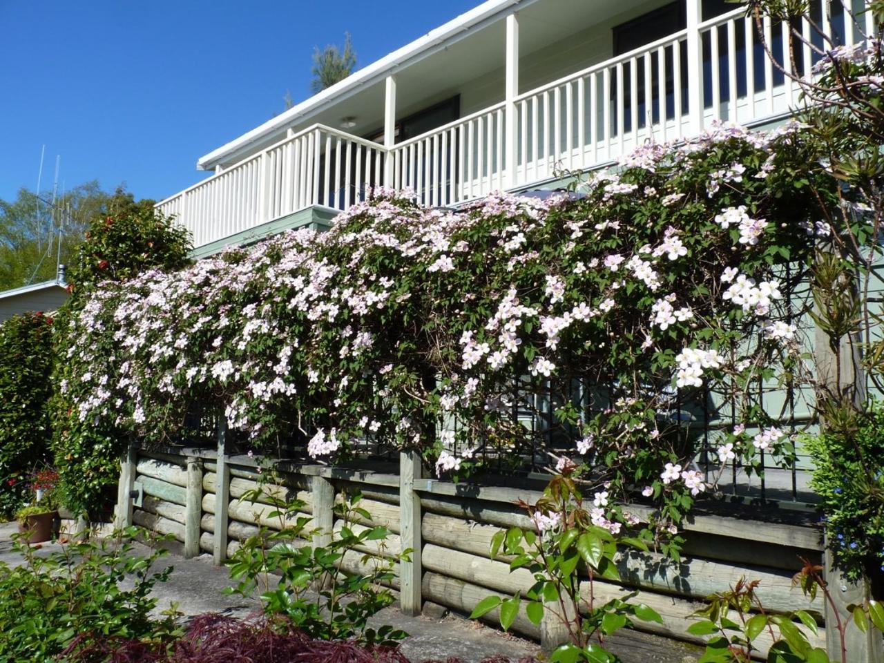 Ligita'S Homestay Havelock Buitenkant foto